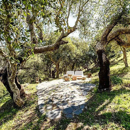 Salthouse Portugal - Exclusive East * Aljezur